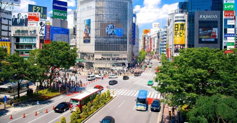 From Tokyo Private Tour With English Speaking Driver - Key Points