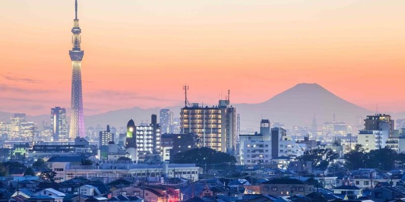 From Tokyo Private Tour With English Speaking Driver - Customizable Itinerary to Suit Preferences