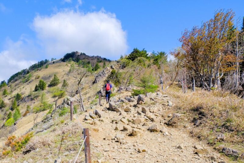 From Tokyo. Private Treckin Tours in Japans Great Outdoors. - Booking and Pricing
