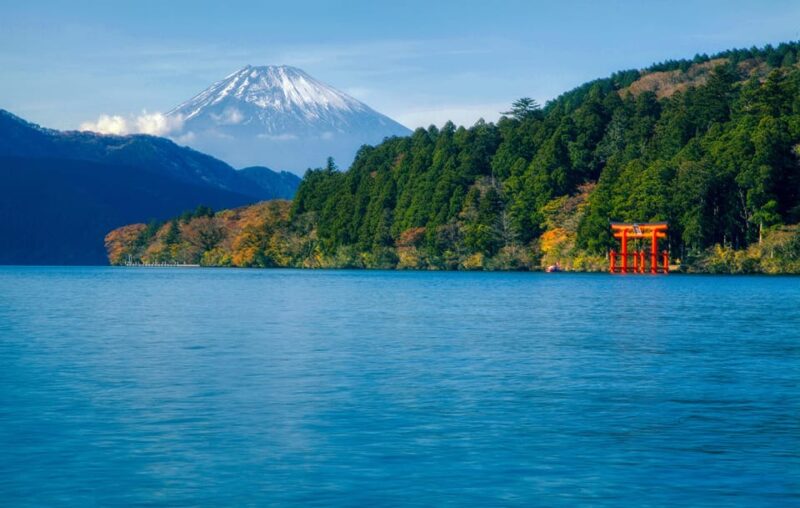From Tokyo: Scenic Mt.Fuji and Hakone One Day Tour - Lunch Options