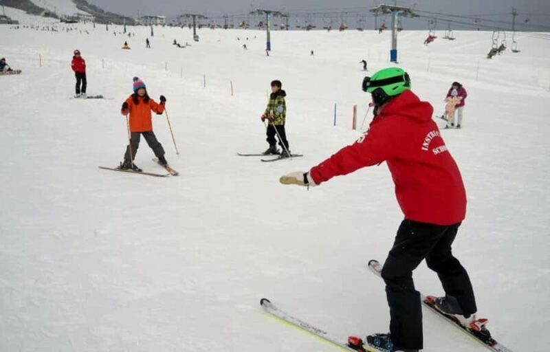 From Tokyo Skiing Day Tour: Niigata Iwappara Ski Resort - Key Points