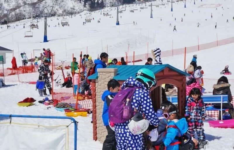 From Tokyo Skiing Day Tour: Niigata Iwappara Ski Resort - What Makes Iwappara Ski Resort Special?