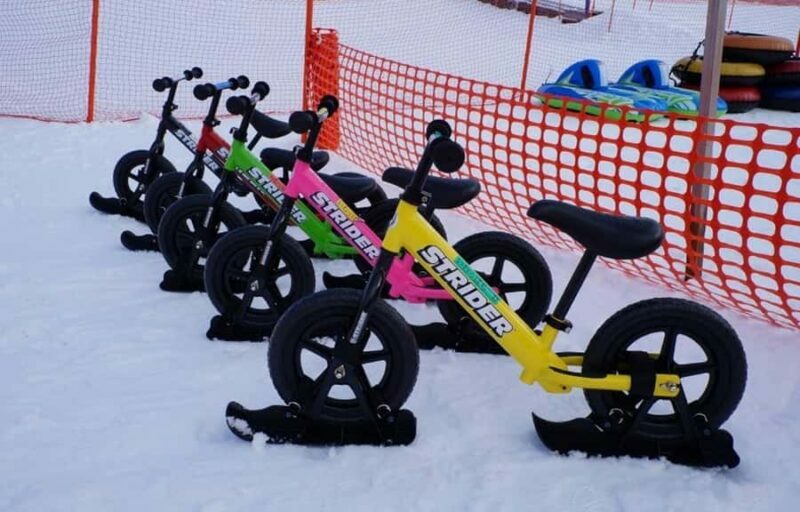 From Tokyo Skiing Day Tour: Niigata Iwappara Ski Resort - FAQ