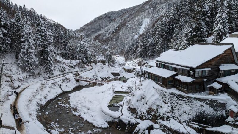 From Tokyo: Snow Monkey 1 Day Tour With Beef Sukiyaki Lunch - Important Information