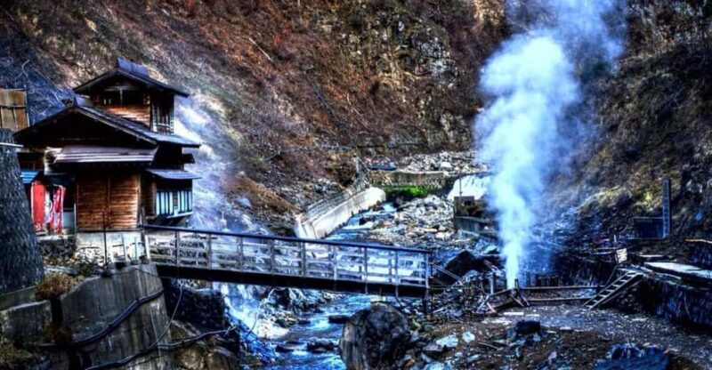 From Tokyo: Snow Monkey Private Full- Day Tour - Key Points