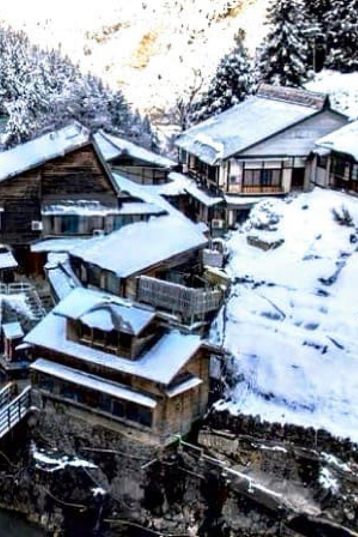 From Tokyo: Snow Monkey Private Full- Day Tour - Inclusions