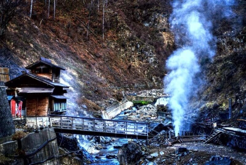 From Tokyo: Snow Monkey Private Full- Day Tour - Pricing and Availability