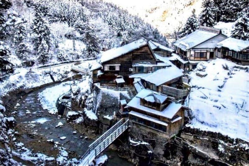 From Tokyo: Snow Monkey & Zenkoji Temple Private Tour - Itinerary Highlights