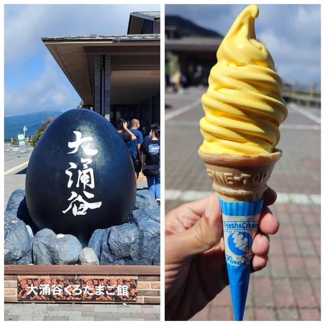 From Tokyo: The Perfect Hakone & Oshino Hakkai Day Trip - Limitations and Requirements