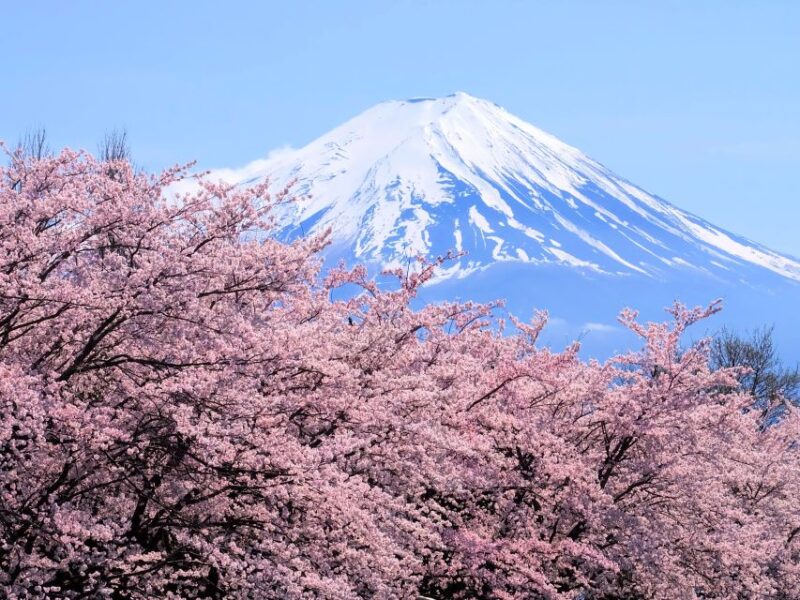 From Tokyo to Mount Fuji: Full-Day Tour and Hakone Cruise - Inclusions