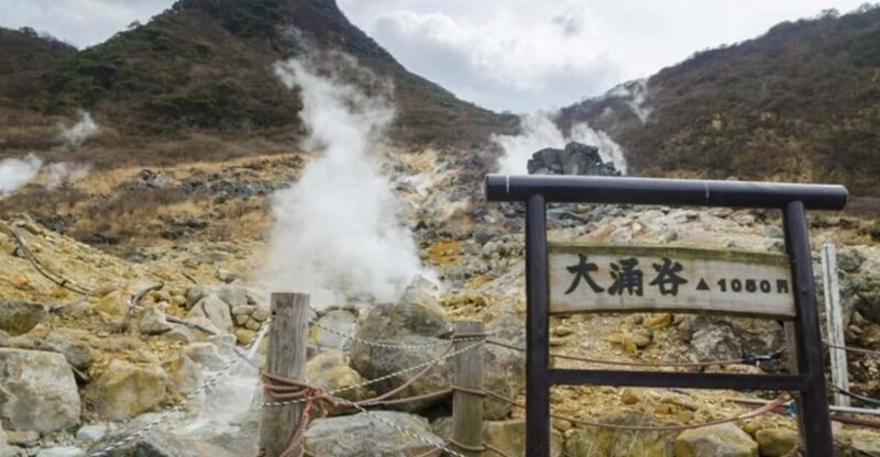 From Tokyo to Mt.Fuji ,Hakone to Anywhere in Japan - Key Points