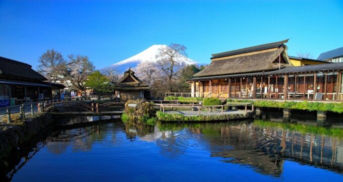 From Tokyo to Mt.Fuji ,Hakone to Anywhere in Japan - Cultural Immersion Activities