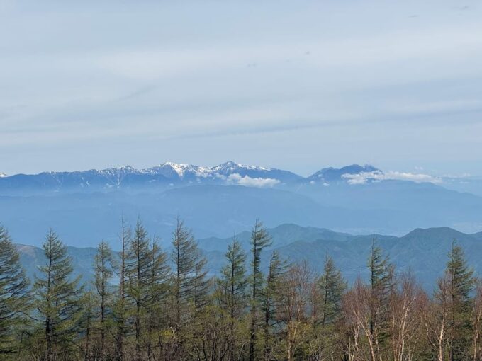 From Tokyo to Mt.Fuji ,Hakone to Anywhere in Japan - Pricing and Booking Details