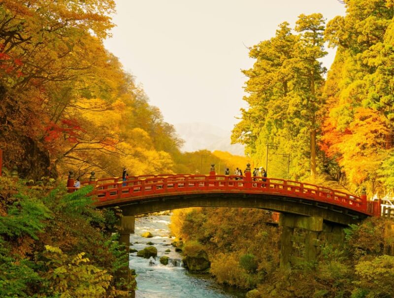 From Tokyo: Tokyo, Kyoto, Osaka, & Nikko Private 7-Day Tour - Key Points