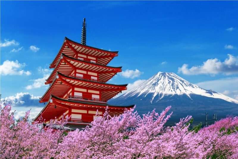From Tokyo: Tokyo, Kyoto, Osaka, & Nikko Private 7-Day Tour - Transportation and Guide