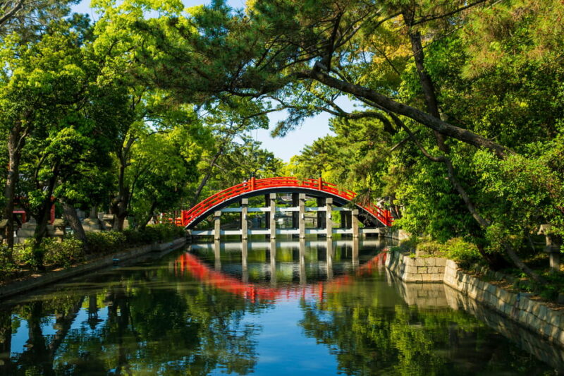 From Tokyo: Tokyo, Kyoto, Osaka, & Nikko Private 7-Day Tour - Participant Restrictions and Recommendations