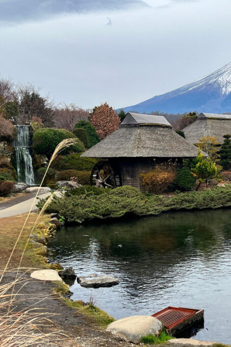 From Tokyo/Yokohama: Mount Fuji and Hakone Full Day Trip - Activities and Experiences