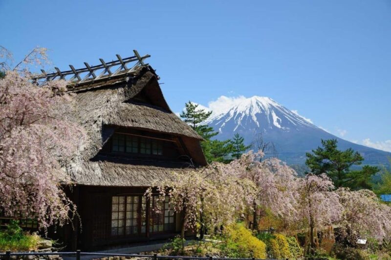 From Tokyo, Yokohama: Mount Fuji Sightseeing Trip - Key Points