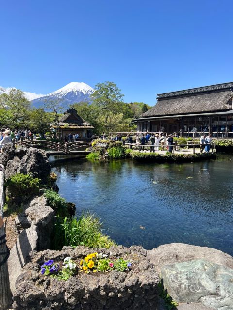 From Tokyo/Yokohama: Private Day Trip to Mt Fuji and Hakone - Hakone Ropeway Scenic Ride