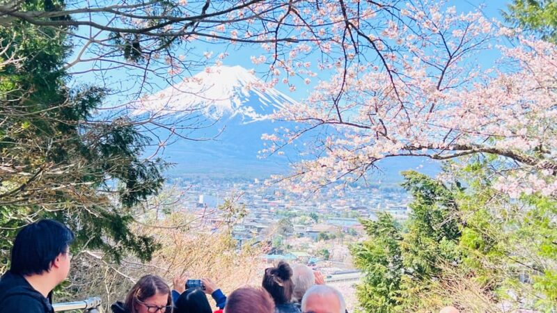 From Tokyo/ Yokohama: Private Day Trip To Mt. Fuji/Hakone - Hakone Area Attractions