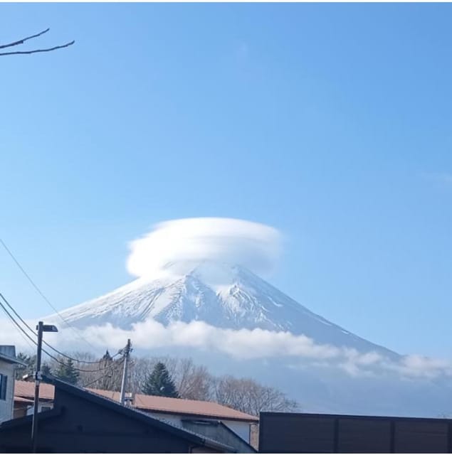From Tokyo/ Yokohama: Private Day Trip To Mt. Fuji/Hakone - Excluded From the Tour