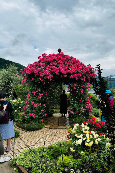 From Tokyo/ Yokohama: Private Day Trip To Mt. Fuji/Hakone - Important Considerations