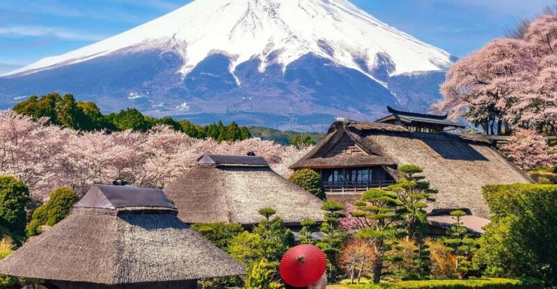 From Tokyo/Yokohama: To Mt. Fuji/Hakone Private Day Trip - Customizable Itinerary Options