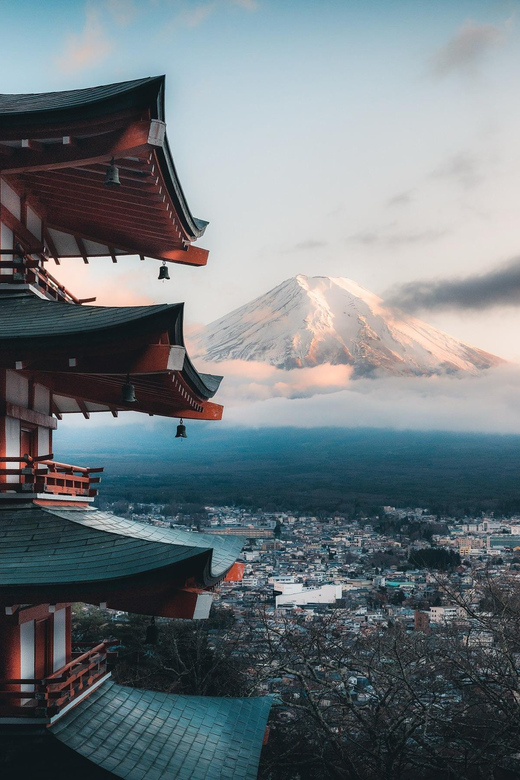 From Tokyo/Yokohama: To Mt. Fuji/Hakone Private Day Trip - Optional Activities