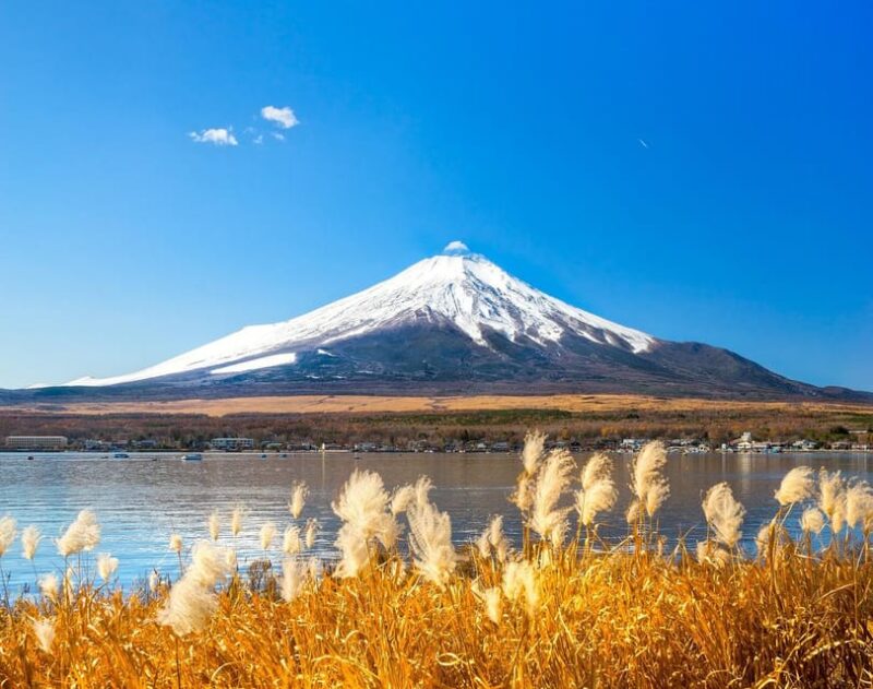 From Tokyo:Mount Fuji, Oshino Hakkai and Onsen Full-day Trip - Itinerary Highlights