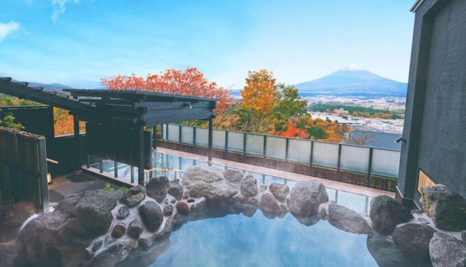 From Tokyo:Mount Fuji, Oshino Hakkai and Onsen Full-day Trip - Contact Details and Trip Logistics