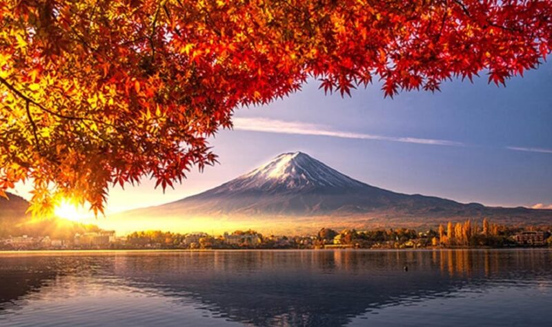 From Tokyo:Mount Fuji Top 4 Must-Visit Attractions Day Tour - Itinerary Highlights
