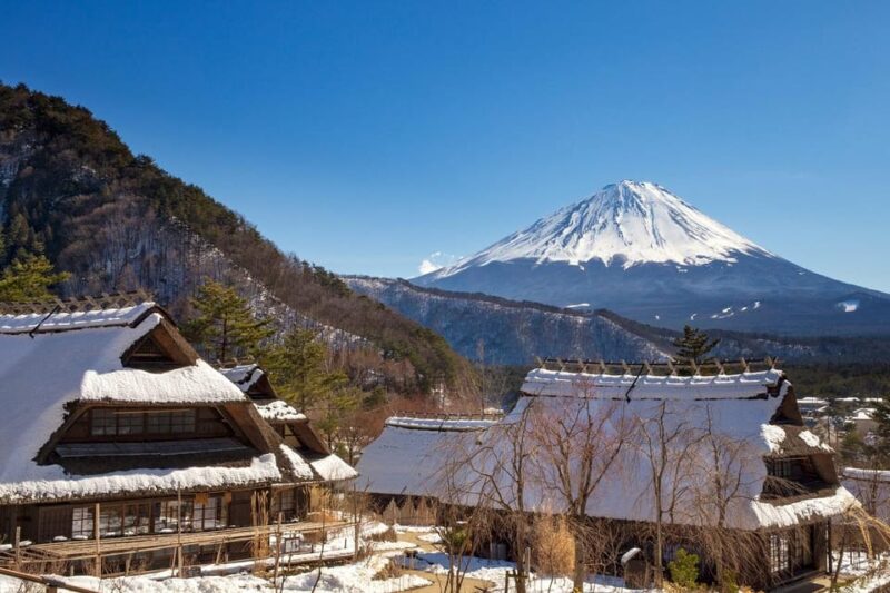 From Tokyo:Mount Fuji Top 4 Must-Visit Attractions Day Tour - Arakura Sengen Shrine and Chureito Pagoda