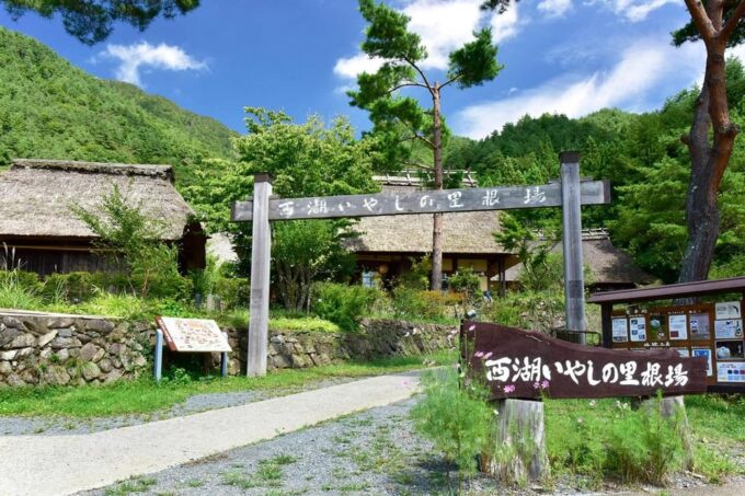 From Tokyo:Mount Fuji Top 4 Must-Visit Attractions Day Tour - Oishi Park by Lake Kawaguchi