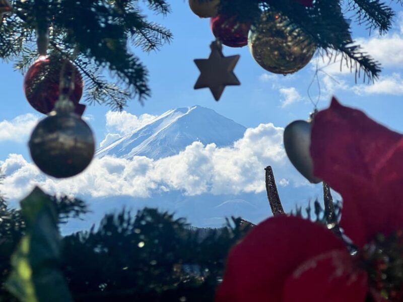 From Tokyo:Mt.Fuji &Hakone Trip With English Speaking Guide - Chureito Pagoda