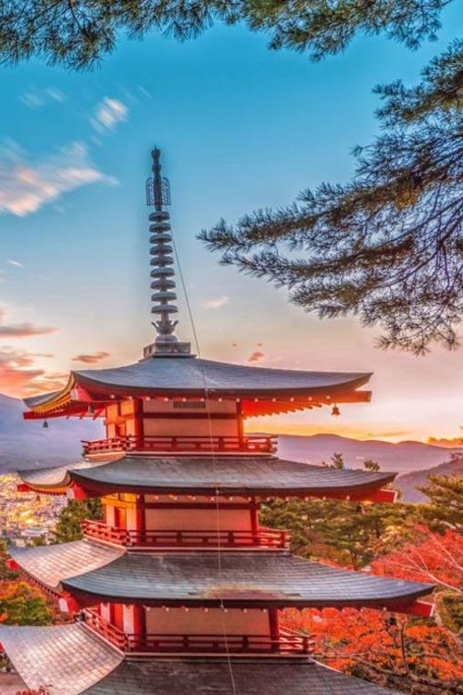 From Tokyo:Mt.Fuji &Hakone Trip With English Speaking Guide - Optional Activities