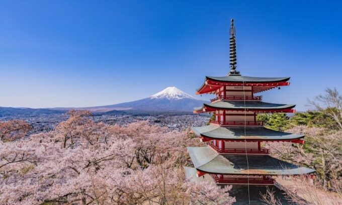 From Tokyo:Mt.Fuji &Hakone Trip With English Speaking Guide - FAQ