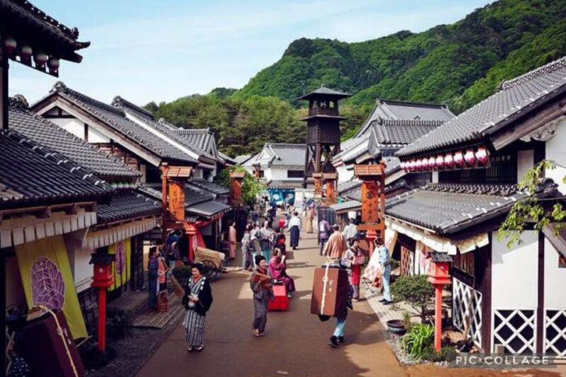 From Tokyo:Nikko Full Day Tour W/Hotel Pickup by Private Car - Key Points