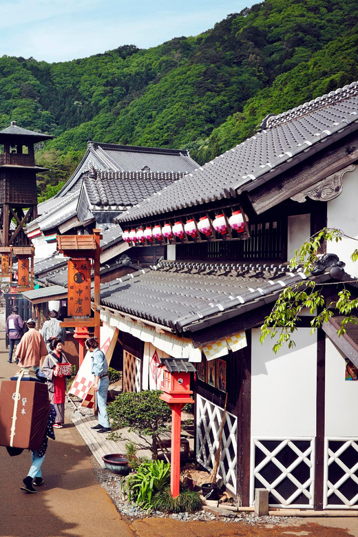From Tokyo;Nikko World Heritage Private Tour English Guide - Tour Experience and Guide