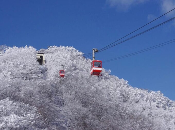 From Tokyo:Niko World Heritage Private Tour English Driver - Frequently Asked Questions