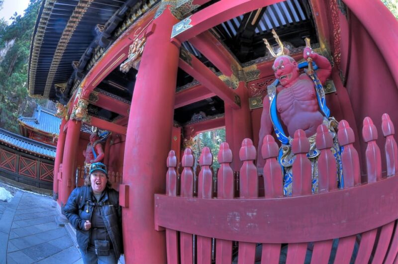 From Tokyo:Private Nikko World Heritage Site Day Tour by Car - Transportation and Accessibility
