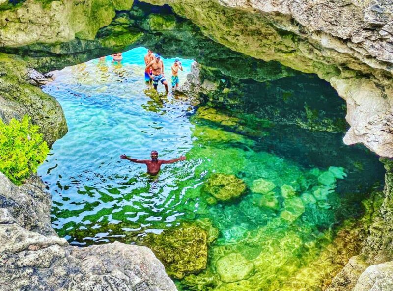 From Toronto: Bruce Peninsula National Park Guided Day Trip - Itinerary Highlights