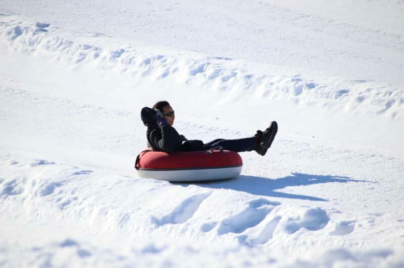 From Toronto: Snow Tubing and Snowshoeing or 1/2 Day Tubing - Key Points