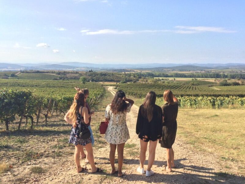 From Toulouse to the Cité De Carcassonne and Wine Tasting - Inclusions and Exclusions
