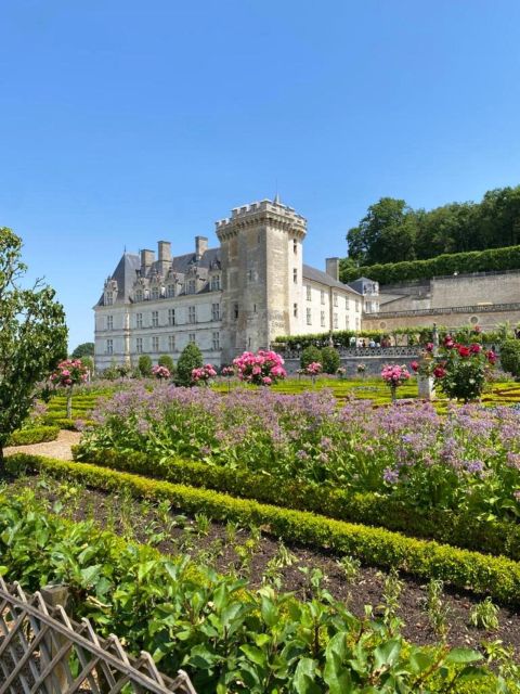 From Tours: Afternoon Loire Valley Wine Tour to Vouvray - Wine Experience