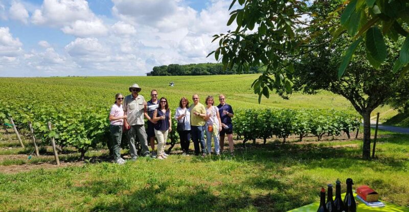 From Tours: Afternoon Loire Valley Wine Tour to Vouvray - Winemaking Process Insights
