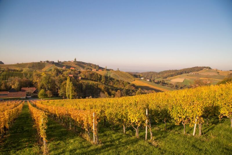 From Tours: Loire Valley Wineries Day Trip With Tastings - Winery Visits and Tastings