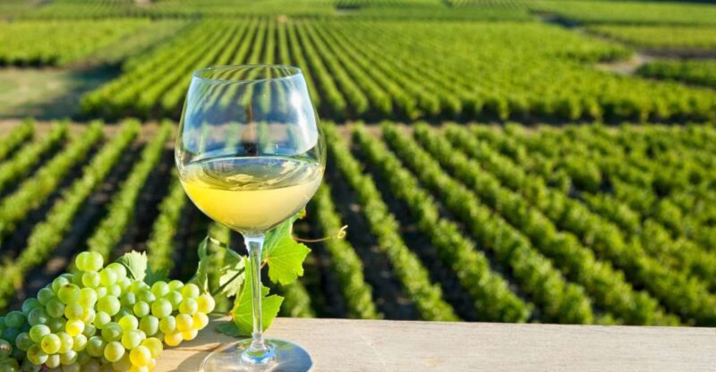 From Tours: Loire Valley Wineries Day Trip With Tastings - Exploring Chinon