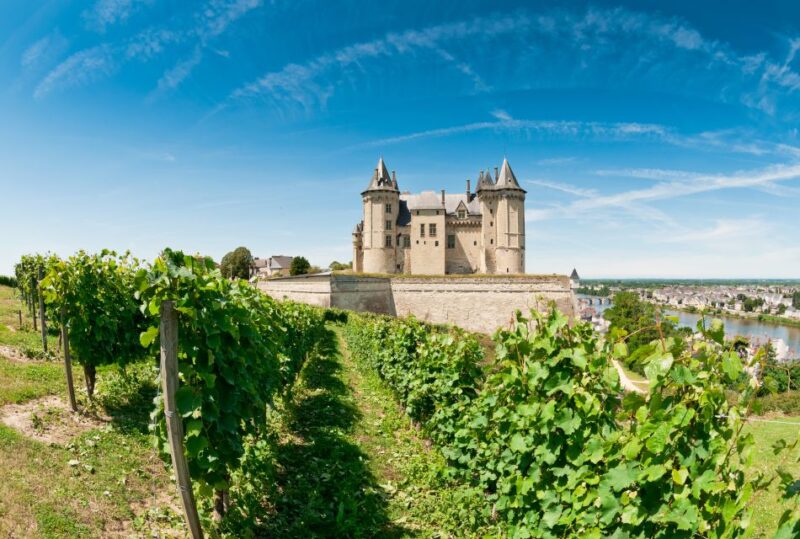 From Tours: Loire Valley Wineries Day Trip With Tastings - Lunch and Free Time