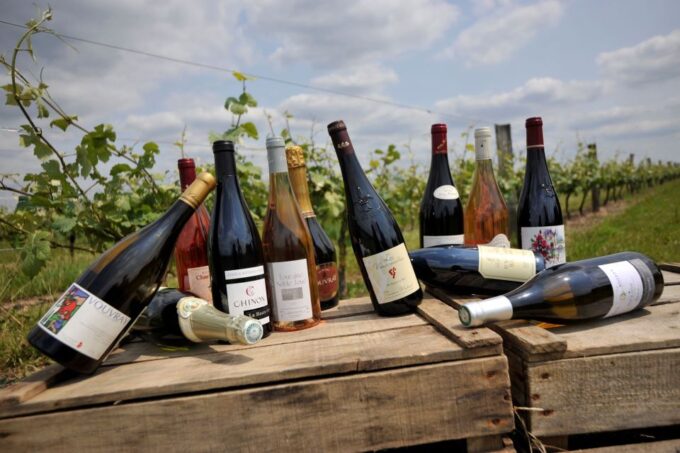 From Tours: Loire Valley Wineries Day Trip With Tastings - Transportation and Guide