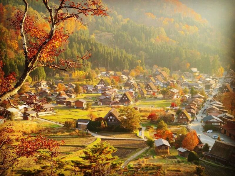 From Toyama: Private Day Tour to Shirakawago & Takayama - Explore Ogimachi Castle in Shirakawa-go